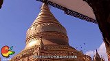 为何佛寺大殿内禁止对着佛像拍照？游客表示：了解后不会再拍了！