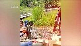 盘点人类失误爆笑名场面！