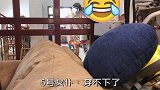 主人去外面吸猫，回家后带了罐头，老猫竟然生气怎么劝都不吃！