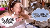 猫咪：别动，闭眼，我将赐予你无尽的知识！