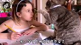 猫咪：别动，闭眼，我将赐予你无尽的知识！