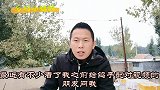 小猛鸽给鸽子配对第四期，喜忧参半，不着急慢慢来吧！