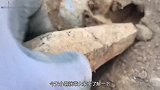 男子在荒地发现一块怪异的石头，近看仔细观察后，发现赚大了