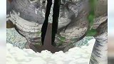 索隆空中一刀劈断明哥高级干部，专属索隆的这个背景音