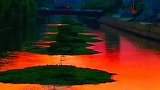 河水平秋岸，开门向夕阳。