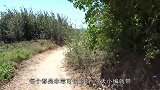 世界上最小的火山，浇灭它只需要一盆水太给火山丢人了