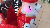 贪玩的毛孩子