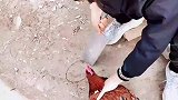 男子表演魔术惊呆众人，看见刀吓得不敢动了吧