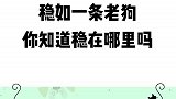 最后一个是真的稳！不信你试试