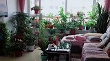 娶了一个喜欢花的媳妇，进门看见这一幕，太温馨了！