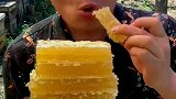 山里的野生蜂巢，都凝结成了块状，吃一口嘴里就会有很甜的味道！
