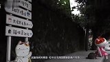 国外小岛被喵星人占领，老鼠灭绝后下海捕鱼为生网友撸猫天堂