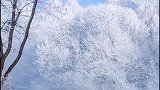 创作灵感   两处相思同淋雪，此生也算共白头。东北请全看暴雪 最美雪景