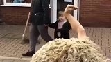 刚领养的鸵鸟，总感觉和人有点相似，你们觉得呢