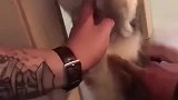 猫：铲屎的没看见我被挂住了么，还不来救我么！