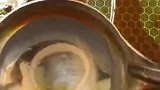 家常美食红烧肉菜