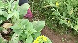 雨季来临，穿上这样一双雨鞋套，水路泥巴路也不怕鞋子又湿又脏了，而且款式好看的雨鞋套