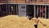 原来老牛也会游泳！