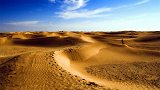 全球最热的沙漠，地表气温可达71度，野兽也无法猎食