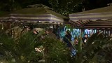 小董在眉山偶遇老乡，晚上一起吃火锅，这场面真气派