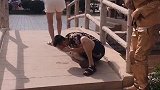 老哥这是闻到啥东西了，怎么还被熏吐了呢？