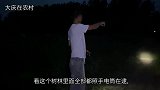 晚上树林里很热闹，村民都忙着抓金蝉，小伙也带家人碰碰运气