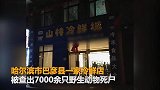 冷鲜店被查出7000余只野生动物死尸 鸟尸堆积如山