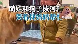 萌娃和狗子拔河输了，哭着找妈妈帮忙