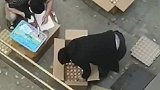 男子变鸡蛋团长帮邻居们买回1800颗鸡蛋