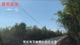 驱车几十公里为了滁州太平村的千张豆腐老鹅肉，地地道道山村美食