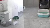 主人忘记给猫咪吃饭，猫咪一直焦急不安，给它饿坏了