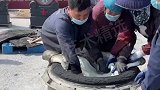 大水缸脱模，人多就是快