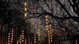 中国人独有的浪漫树上古诗词惊艳路人