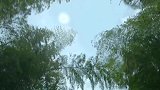甜！用肖战《问情》打开《庆余年》范闲林婉儿的神仙爱情