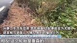 男子为骗保开车撞树当场身亡，现场没有刹车痕迹，系自导自演已骗90多万