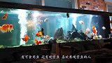 牛人为了可以养鱼，把咖啡店装修成鱼缸，每天吸引无数顾客打卡