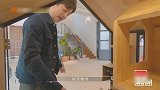 何炅被优雅的“点点”迷住，吸猫果然不分男女老少