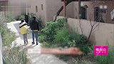 阚清子狂夸张翰大长腿和总裁范，瀚哥一句话，全场笑炸了！