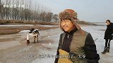 黄河4米深坑存30多条大鲤鱼！一群逮鱼高手聚集，为何不敢下手