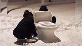 搞笑配音这雪人堆的一个赛一个的搞笑，都是创造奇才
