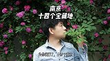 为你收藏了十四个南京
