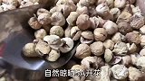 打工夫妻，小生意开业第一天营业额上万，老公飘了要带媳妇吃鲍鱼