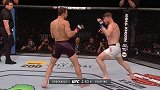 UFC-16年-UFC204自由格斗：比斯平vs洛克霍德-专题