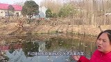 胖妹研究鱿鱼的新吃法，做成鱿鱼包饭味道最香，香气诱人！