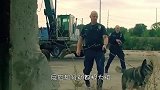 军犬到底有多聪明？当看完这些训练画面，让人大开眼界！
