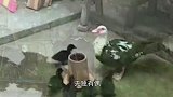 小鸭子突然被“劫持”，鸭妈妈急得跺脚，鸭妈妈：赶快还给我！
