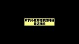 论宋亚轩对谐音梗的执着，刘耀文表示哥哥太幼稚了