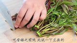 冰箱保存香椿，放冷冻还是冷藏？教你正确做法，香椿鲜嫩不变质