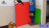 橘猫和奶牛猫争夺高位，拳打脚踢一个比一个厉害，猜猜谁会赢