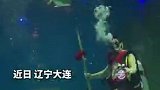 哪吒海底大战龙王！这里惊现现实版“魔童闹海”，鱼群围观神仙打架！